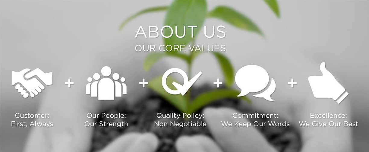 About Our Values
