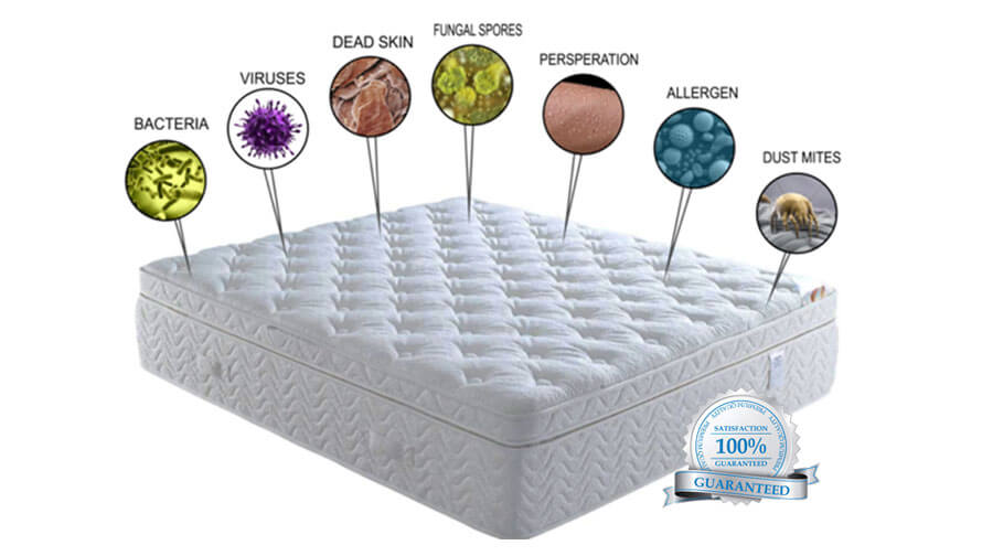 Toronto Upholstery Cleaning Services, Carpet Cleaning Company and Carpet Cleaning Services